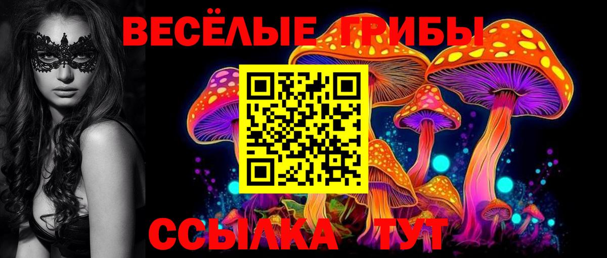 Фурманов  Галлюциногенные грибы Magic Shrooms  Вход с VPN  Галлюциногенные грибы Psilocybine cubensis 